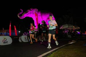 BIB: 
                            <button type="button" onclick="openModal(26544242)" class="btn btn-primary btn-sm float-right btn-popup" data-toggle="modal" data-target=".modal-high-quality">
                        <i class="fas fa-shopping-cart"></i> Add to Cart
                    </button>
                                            <button type="button" onclick="isThisMe(26544242, true)" class="btn btn-success btn-sm float-right btn-popup btn-isme hidden" data-toggle="tooltip" data-placement="bottom" title="นี่คือรูปของคุณใช่ไหม คลิกที่นี่เพื่อเอาเข้าอัลบั้ม">
                        <i class="fas fa-plus"></i> Add to album
                    </button>
                    <button type="button" onclick="isThisMe(26544242, false)" class="btn btn-warning btn-sm float-right btn-popup btn-isnotme hidden">
                        <i class="fas fa-ban"></i> Remove from album
                    </button>